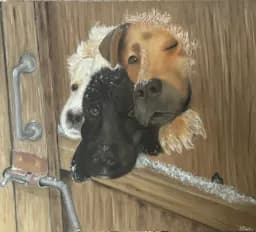 Peeking Pups