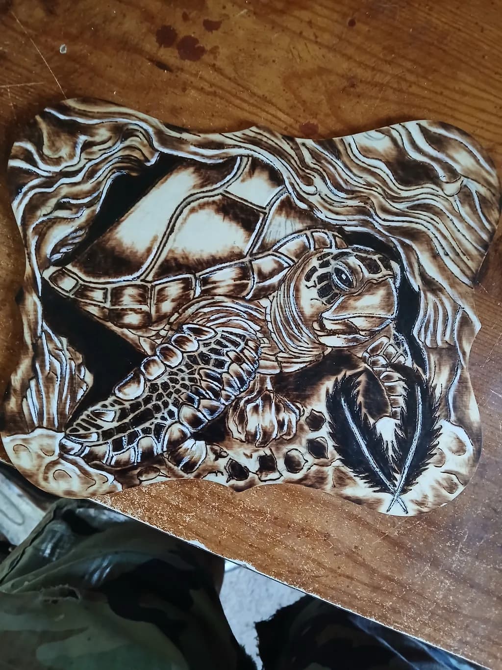 Turtle's Journey
