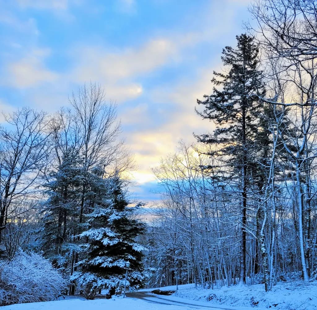 Winter Pathway