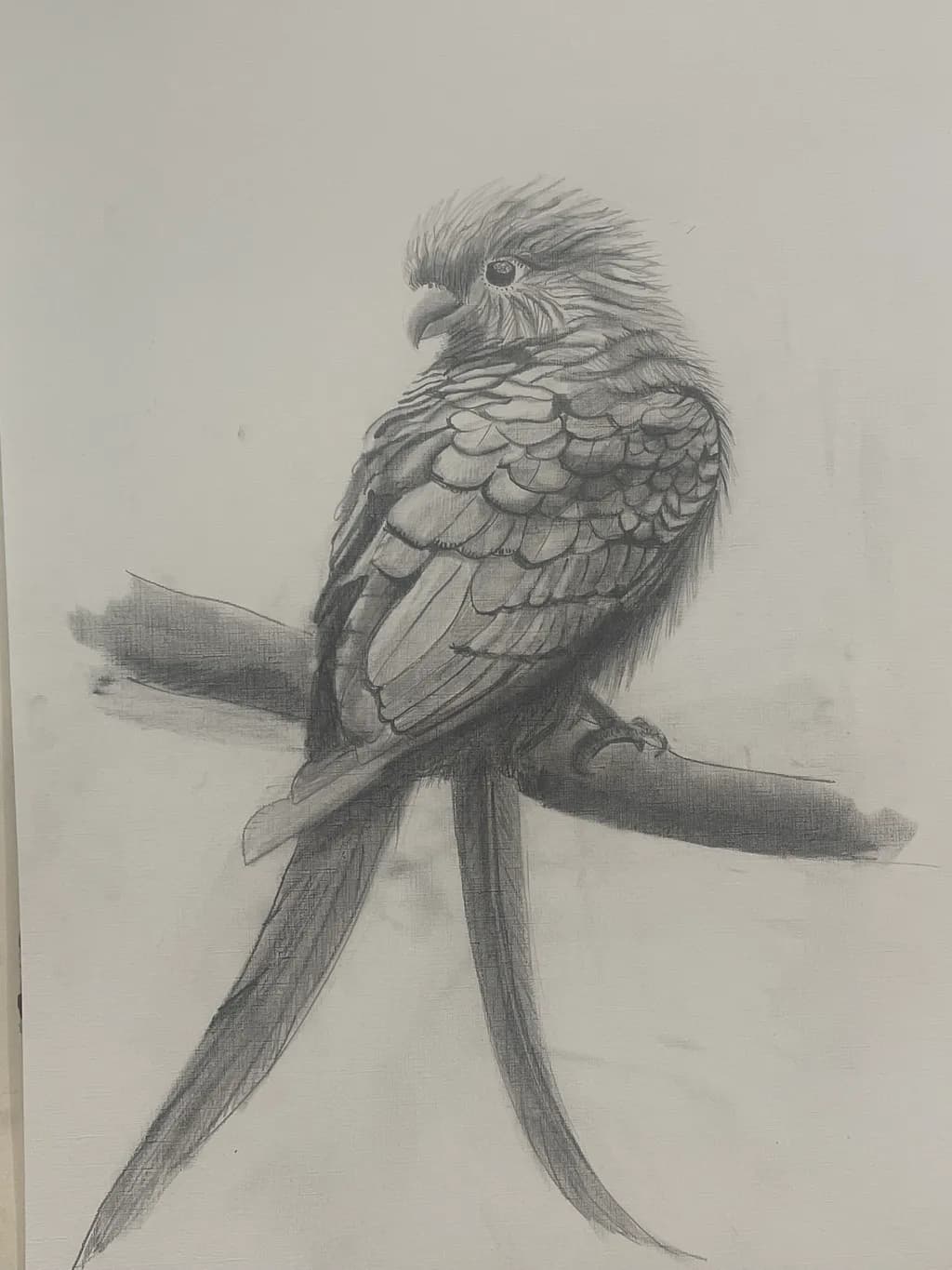 Perched Grace