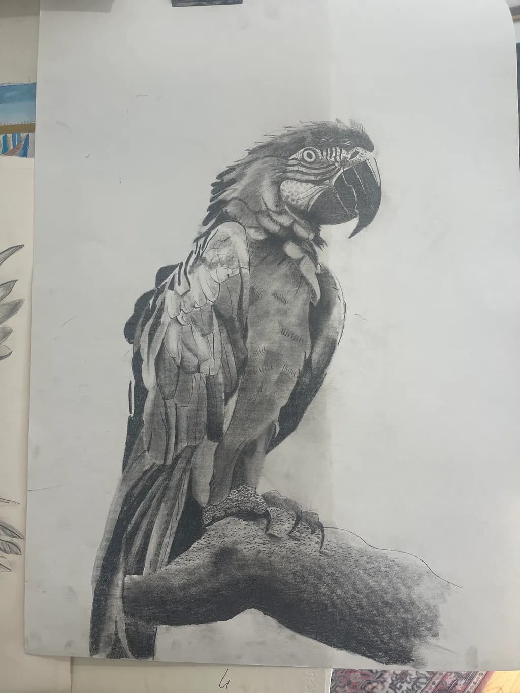 Perched Majesty