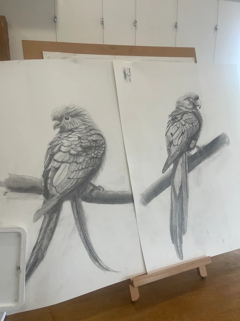 Perched Parrots