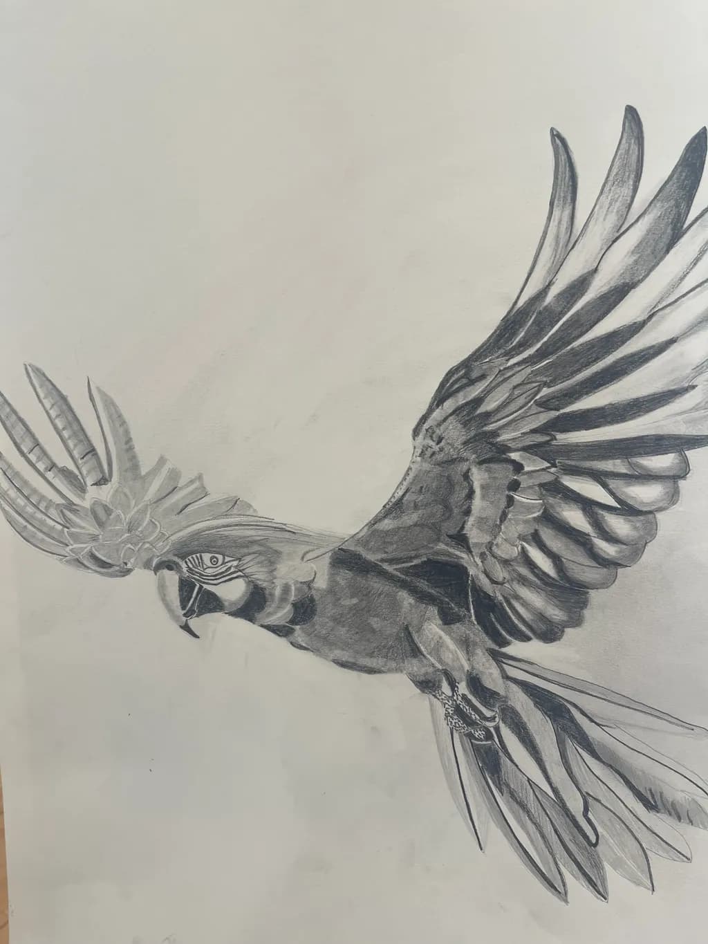 Soaring Parrot