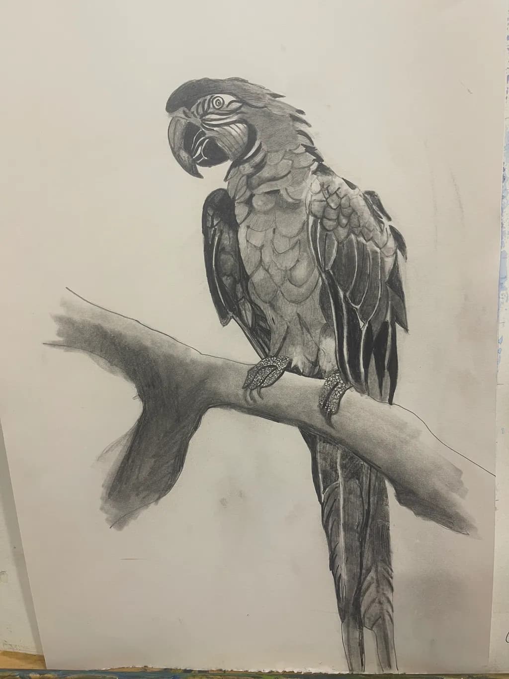 Perched Majesty