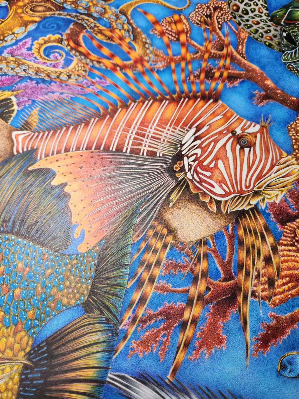 Coral Lionfish