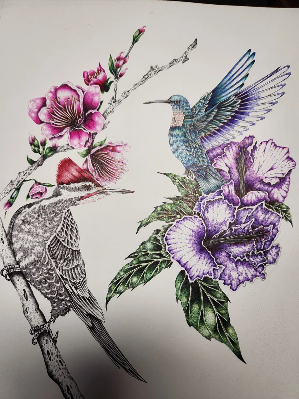 Dual Plumage Bloom