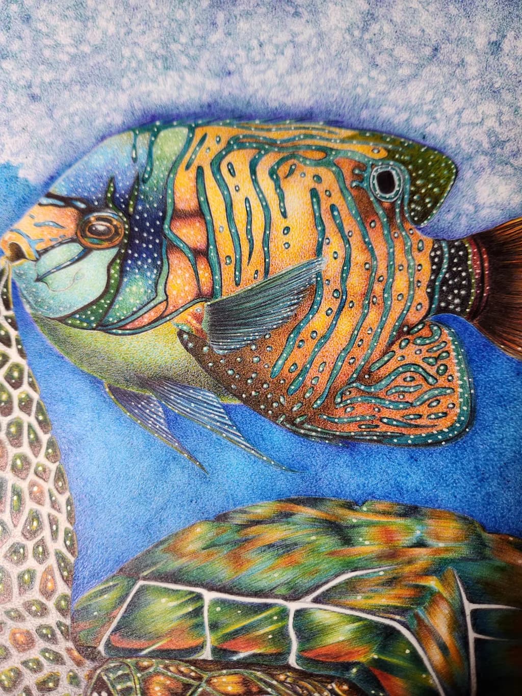 Marine Mosaic