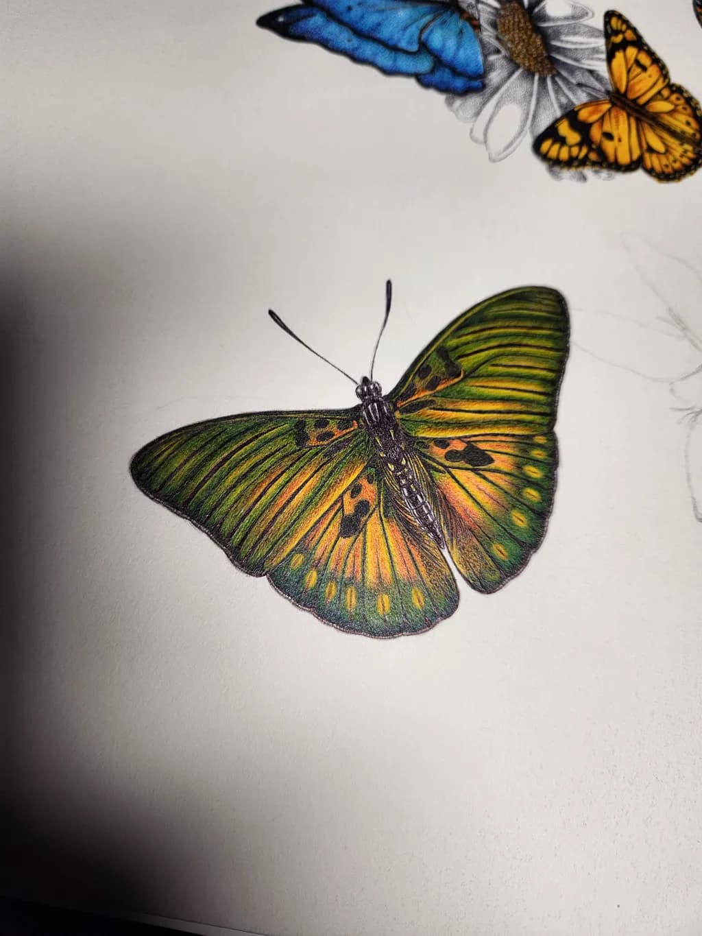 Emerald Wings