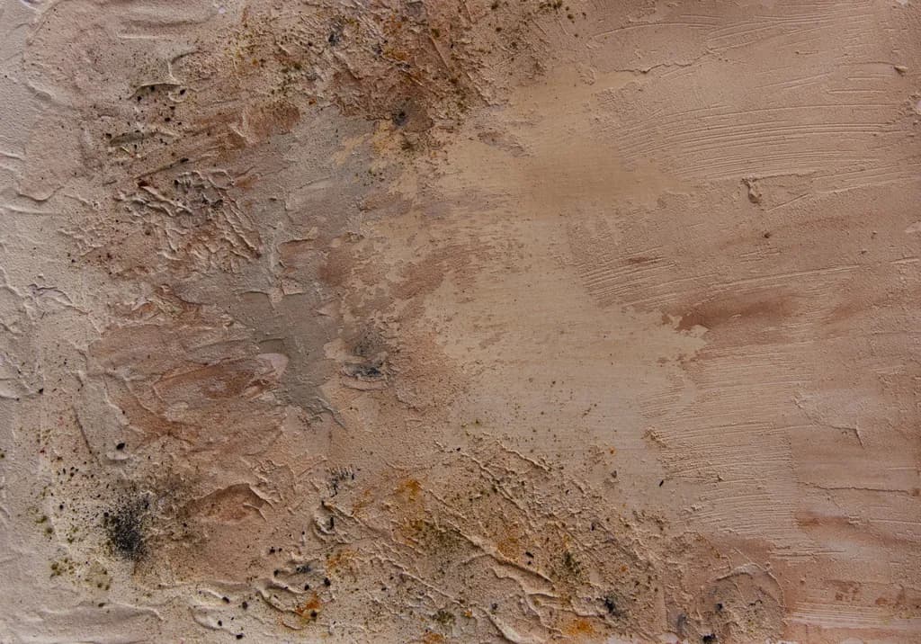 Isle of Wight Texture