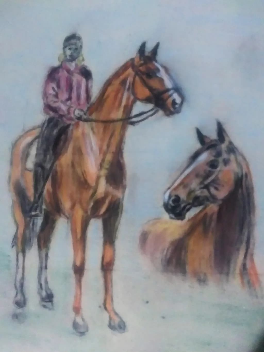 Mounted Companions