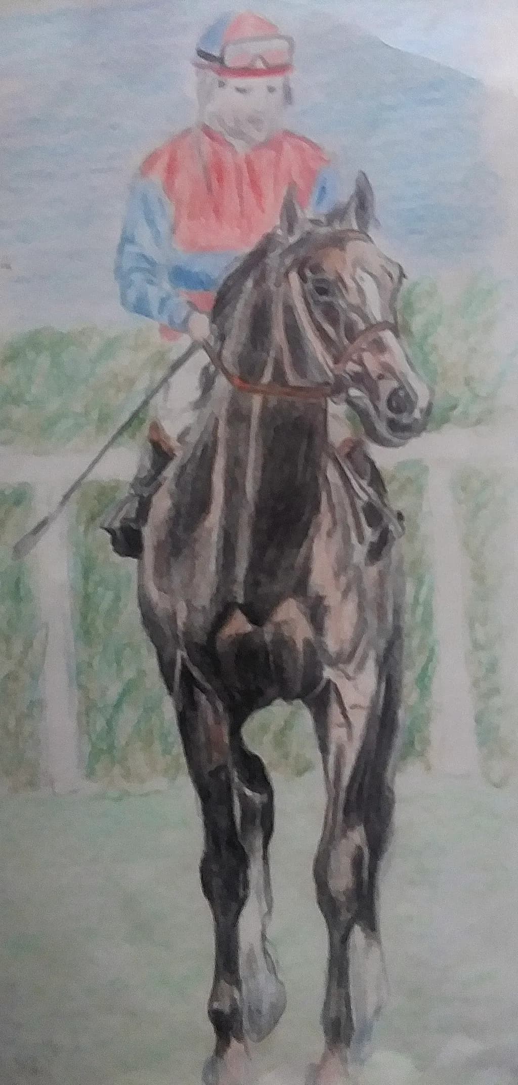 Jockey's Ride