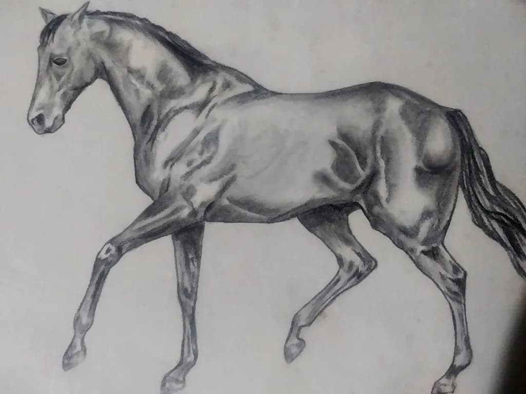 Graceful Stride