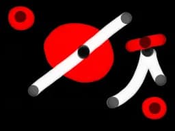 Nippon Night
