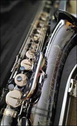 My Silver Shadow Saxophone