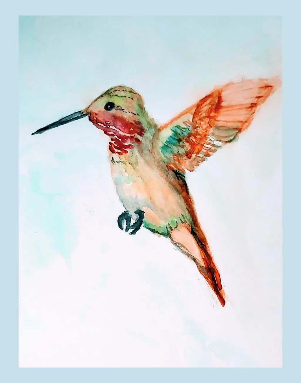 Hummingbird Watercolour