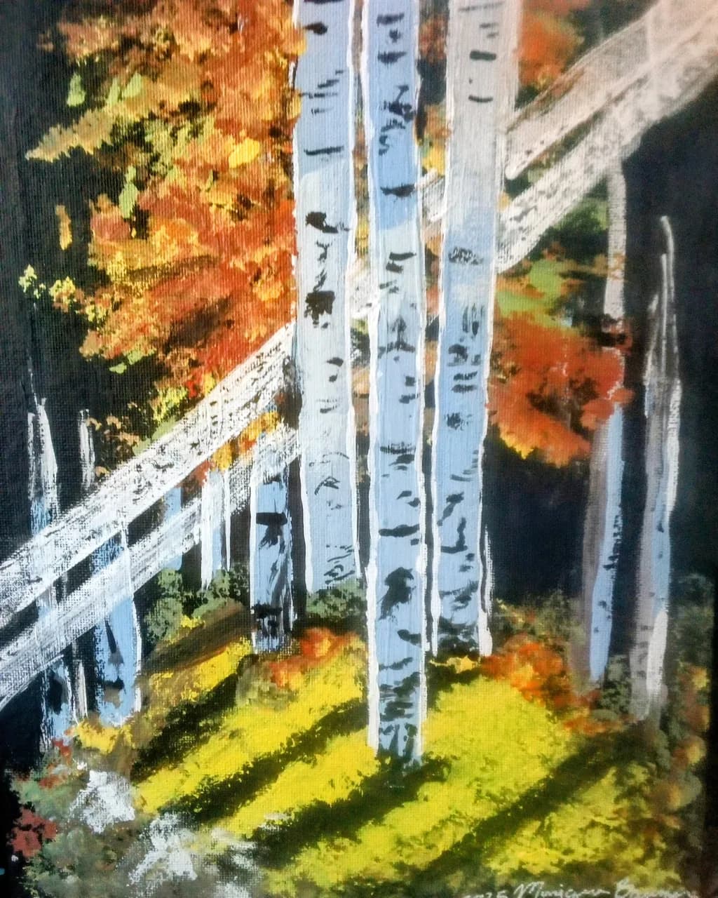 Birchlight Shadows