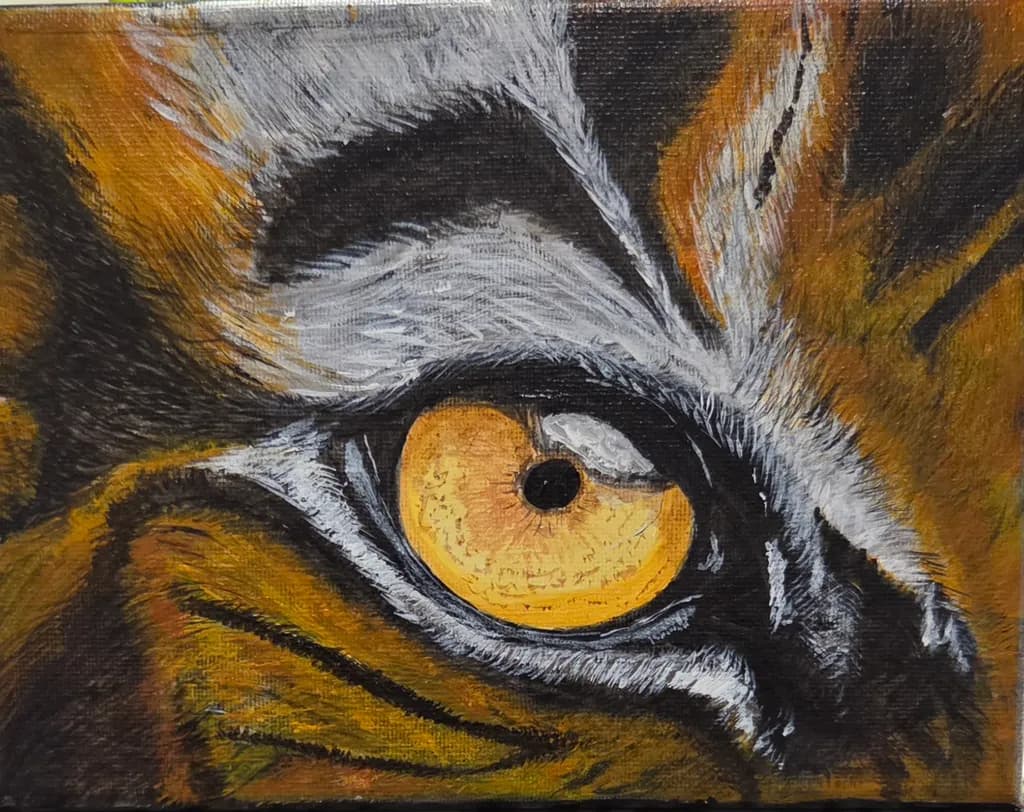 Tiger Focus