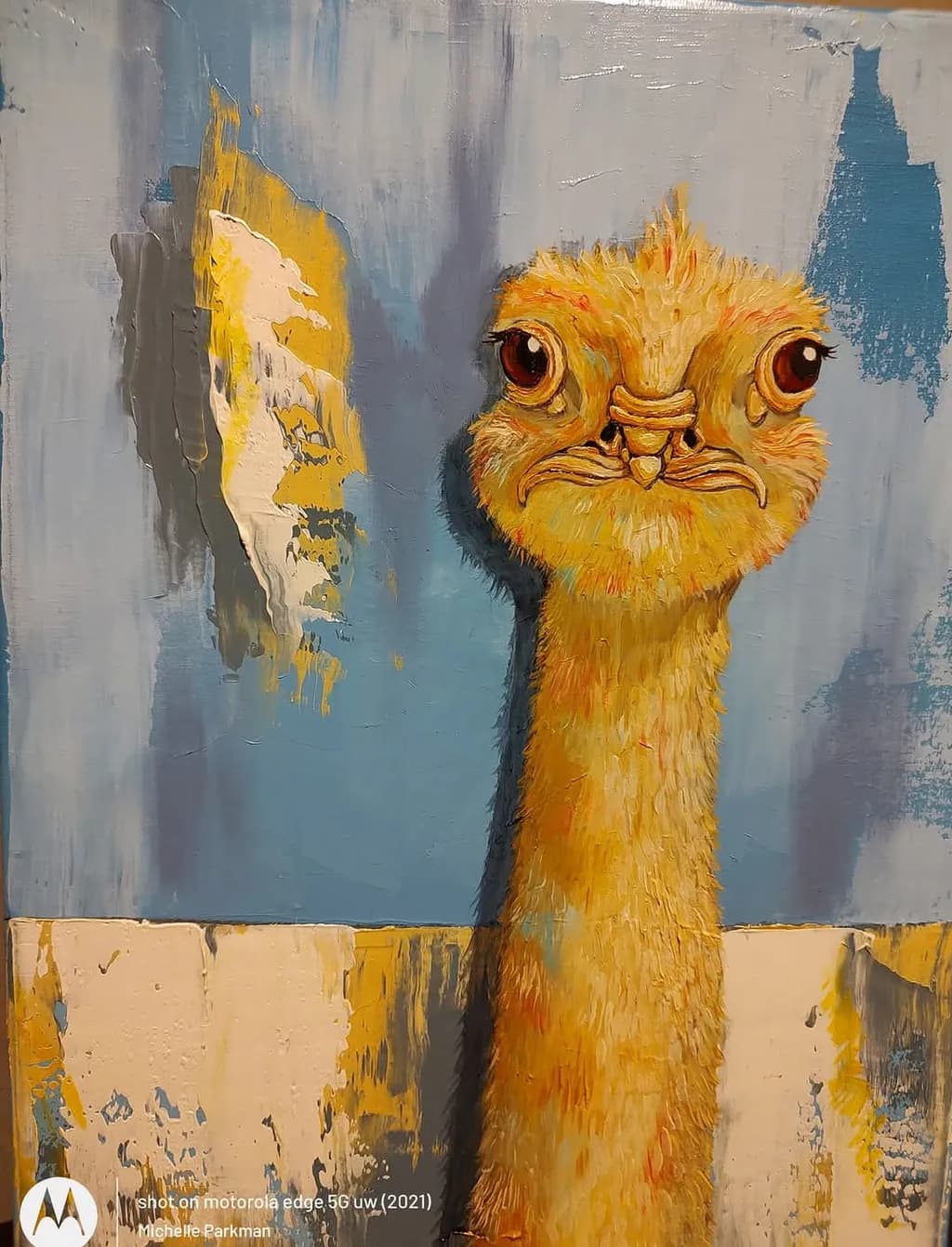 Quizzical Ostrich