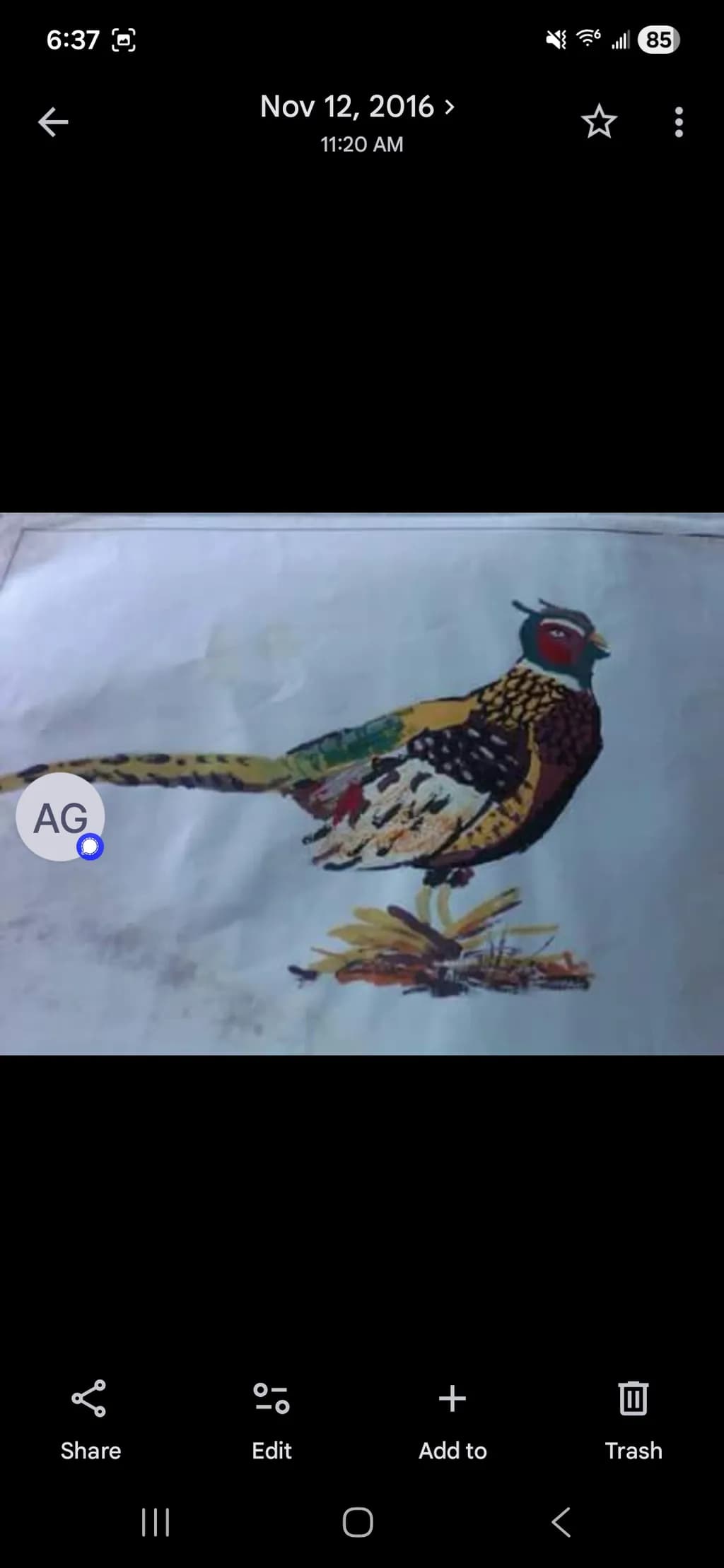 Pheasant Perch