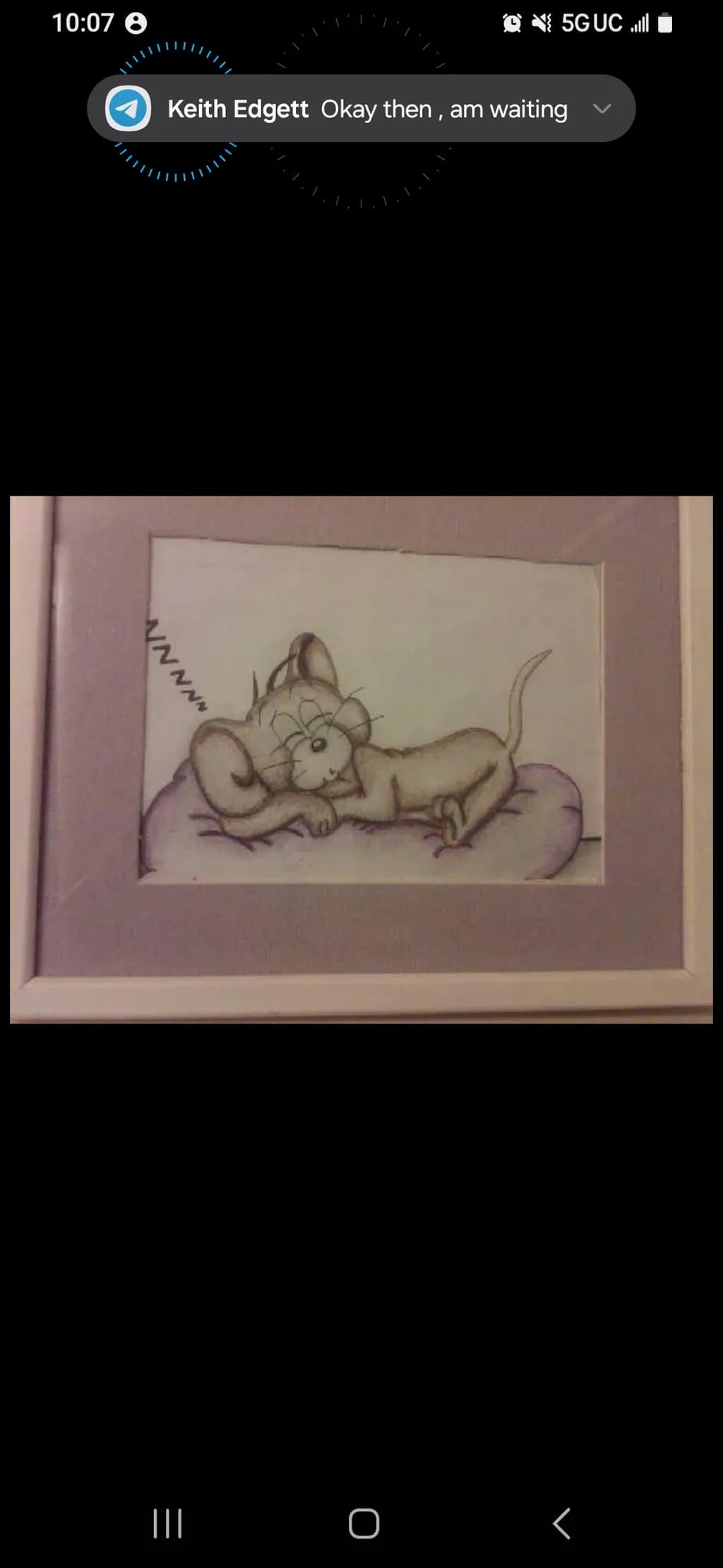 Sleeping Mouse