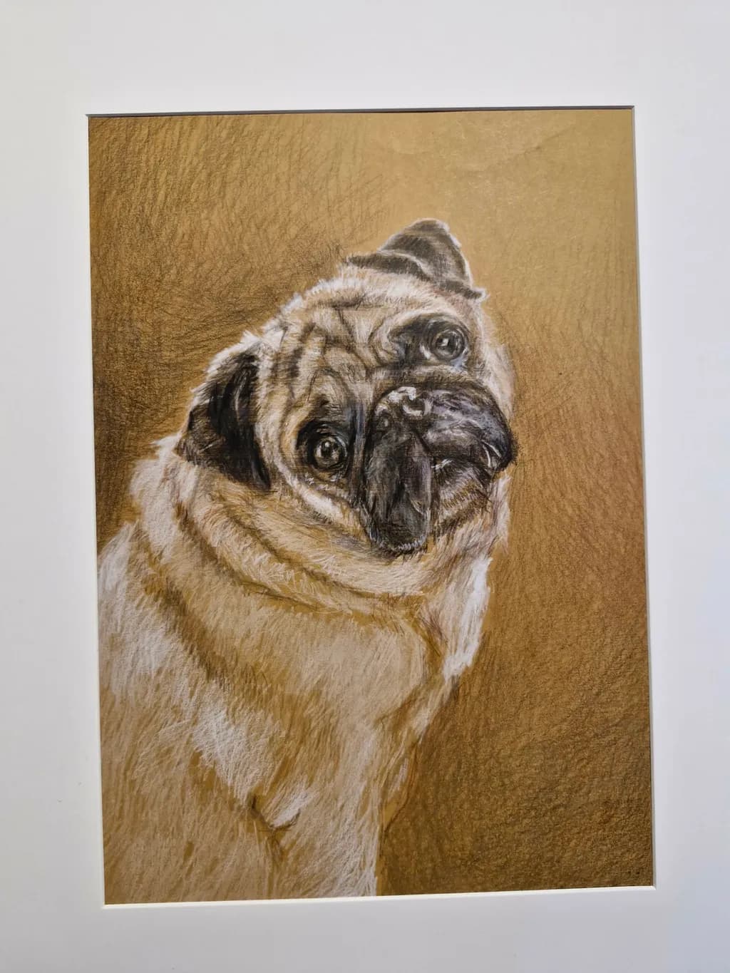 Pensive Pug