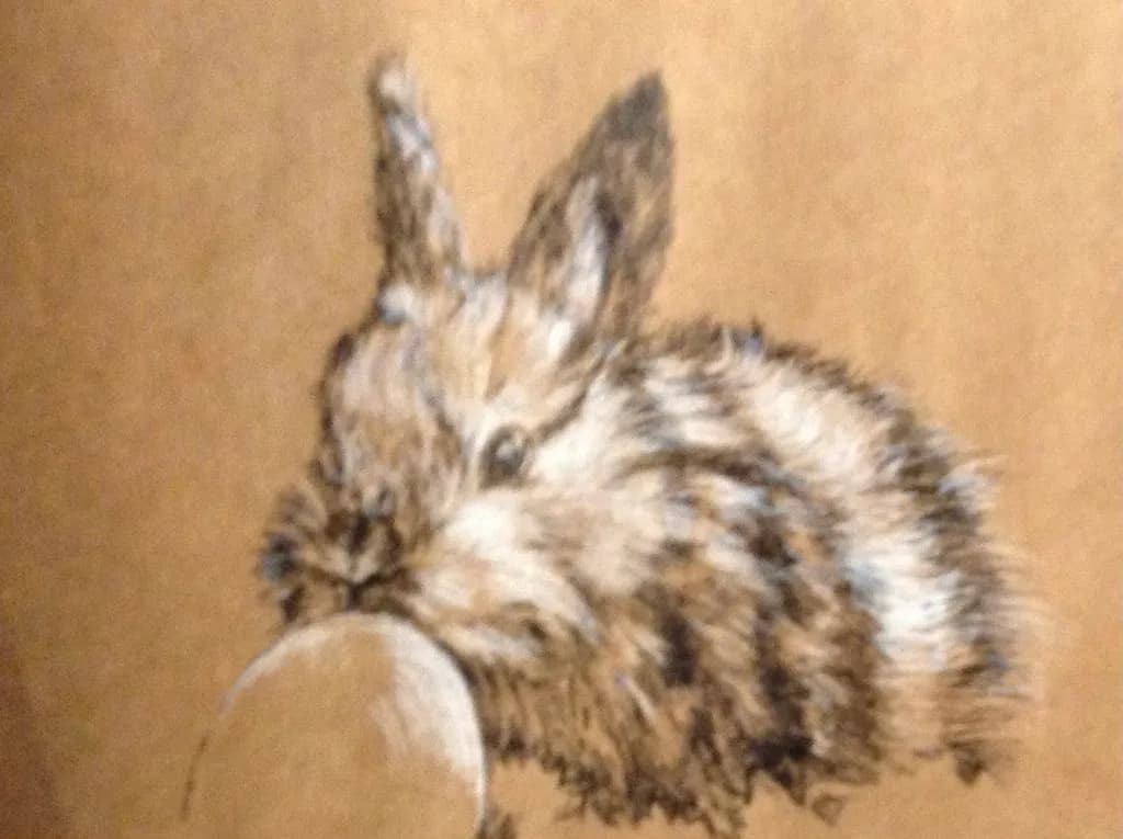 Curious Hare