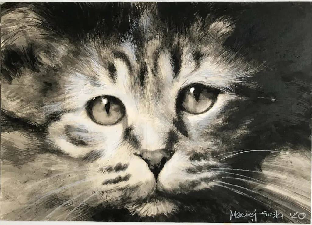 Feline Gaze