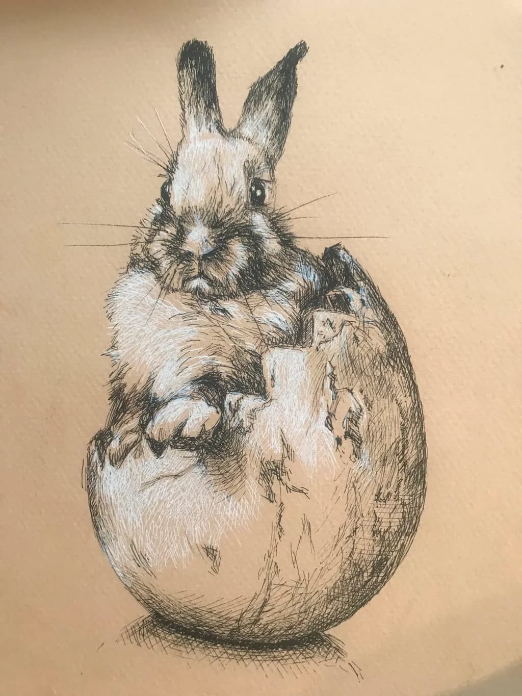 Hatching Bunny