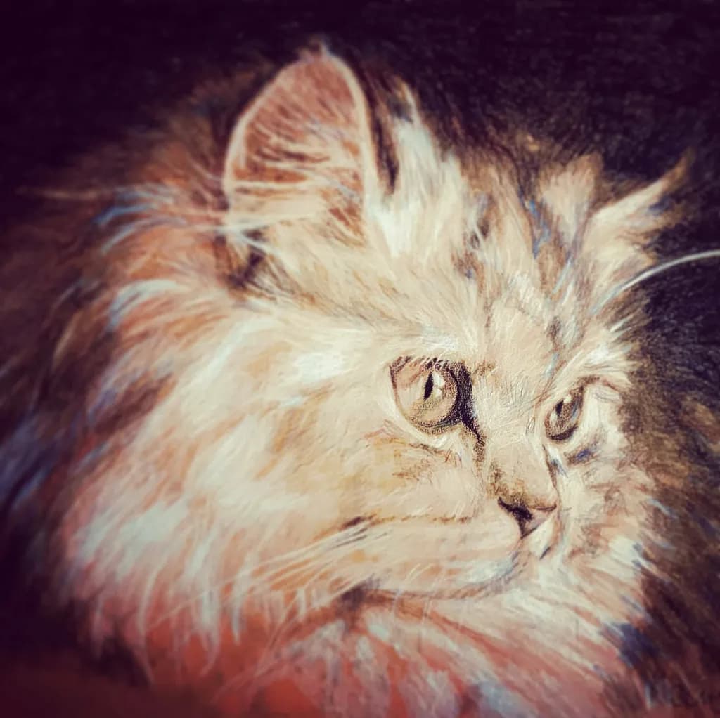Pensive Feline