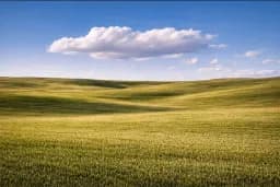 Golden Fields Horizon