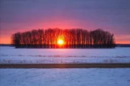 Winter Sunset Silhouette