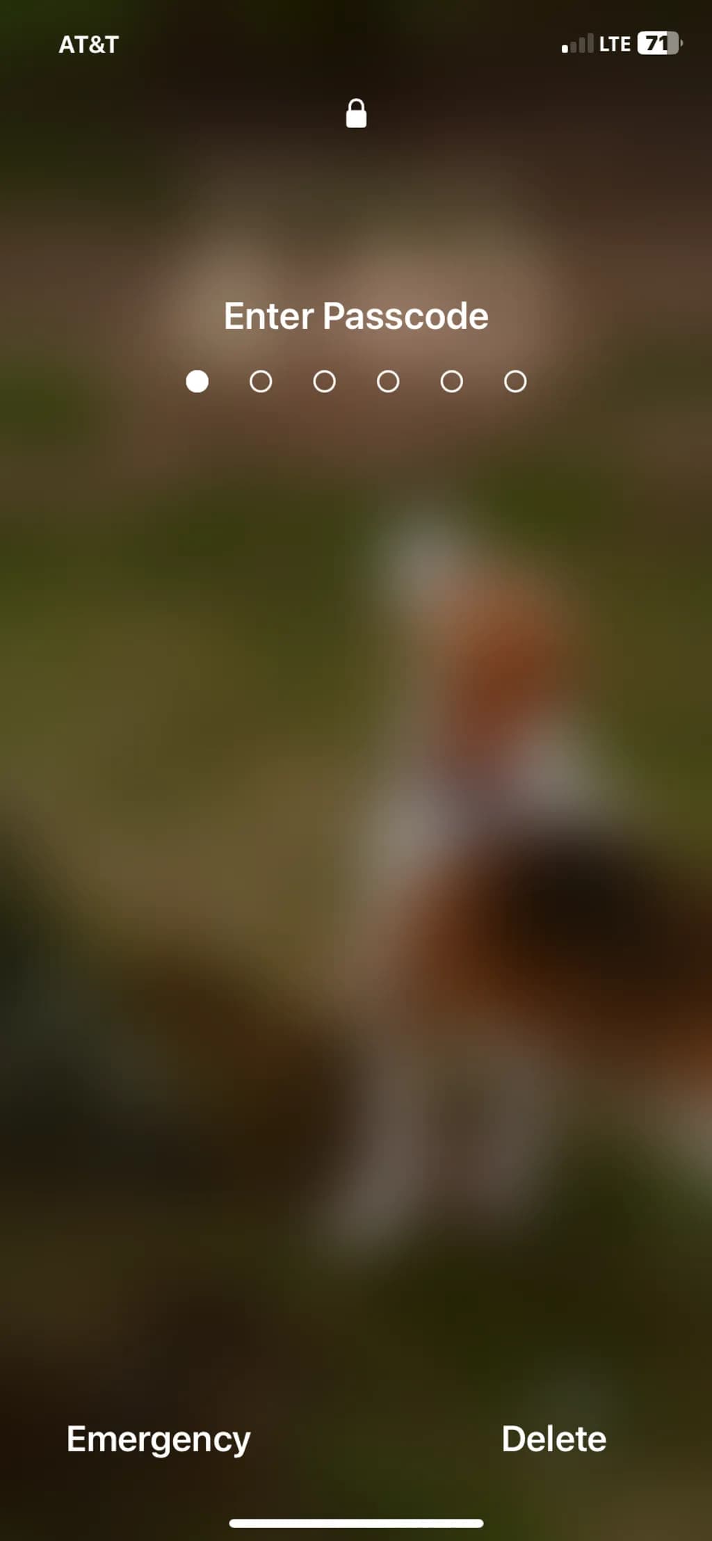 Blurred Guardian