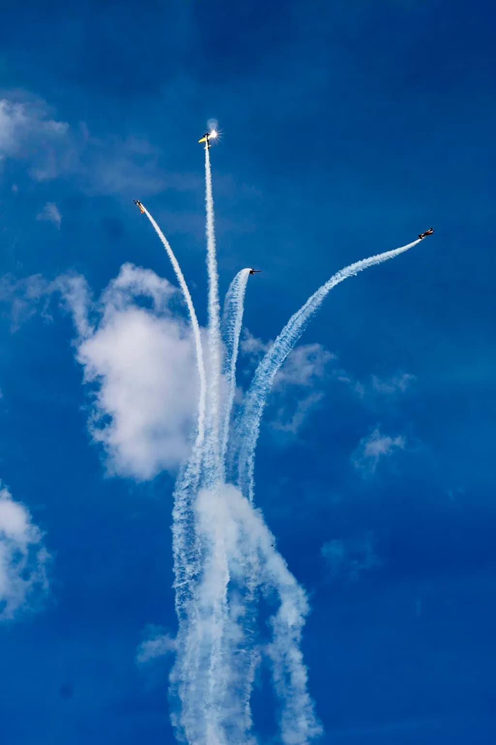 Skyward Burst