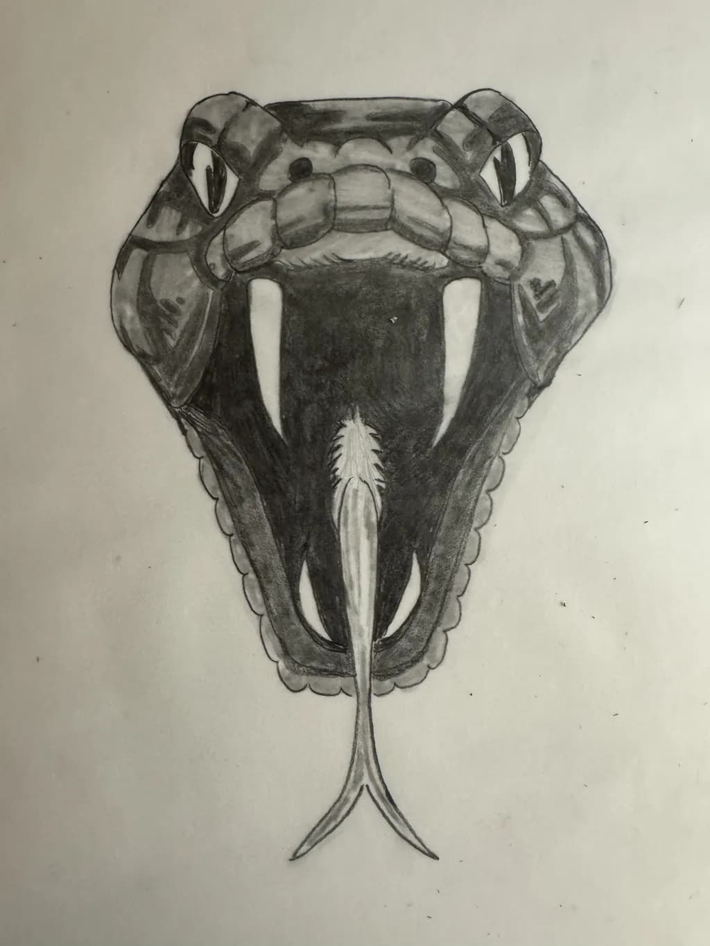 Serpent’s Gaze