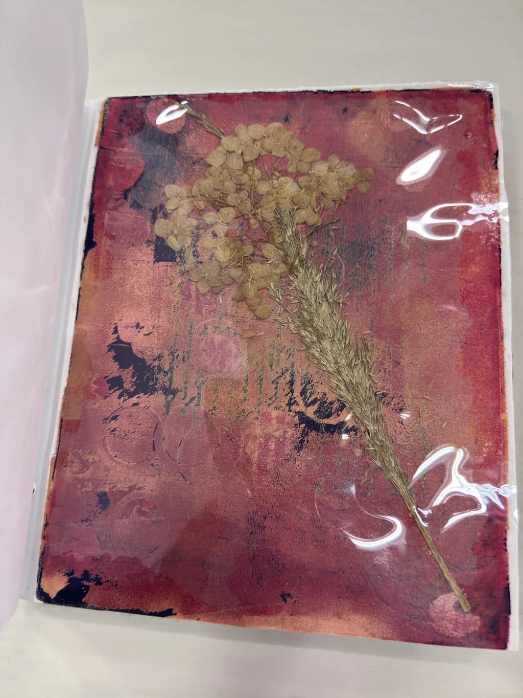 Faded Bloom