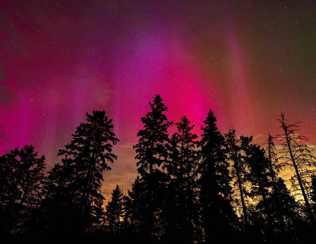 Northern Light Silhouettes