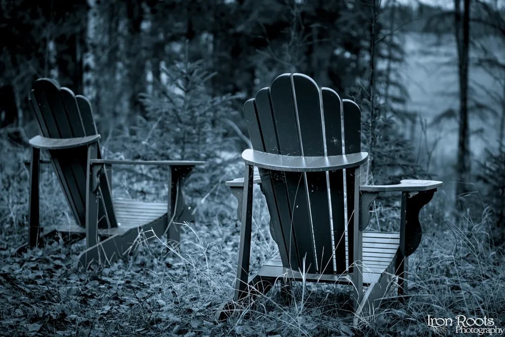 Forest Chairs