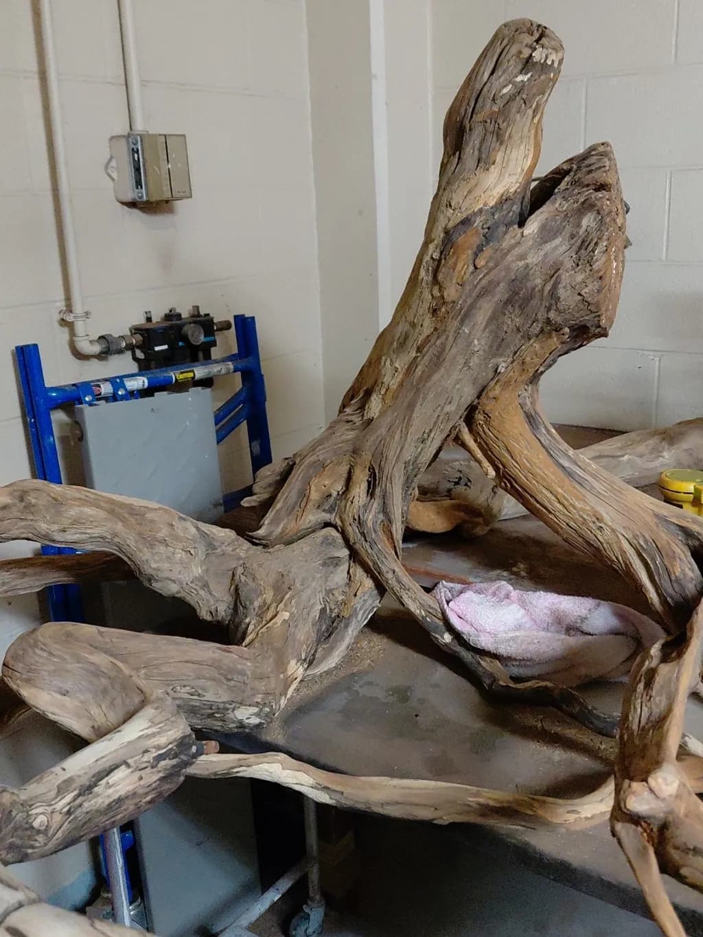 Driftwood Form