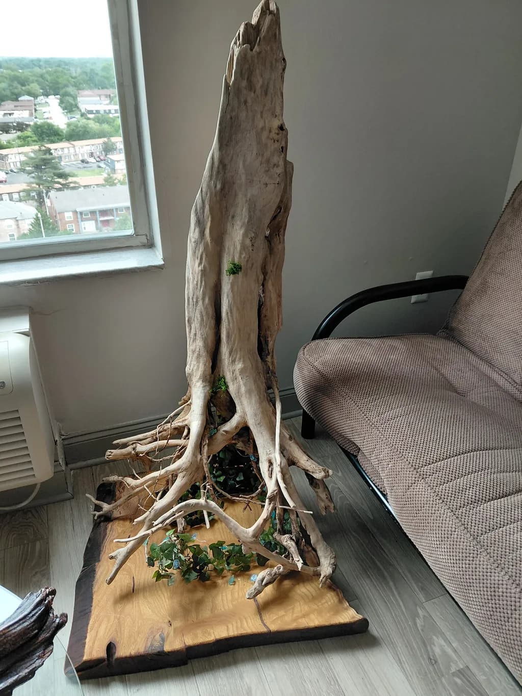 Rooted Sentinel
