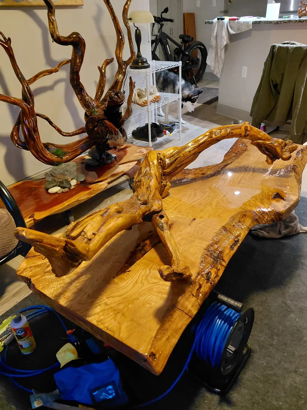 Rooted Flow Table