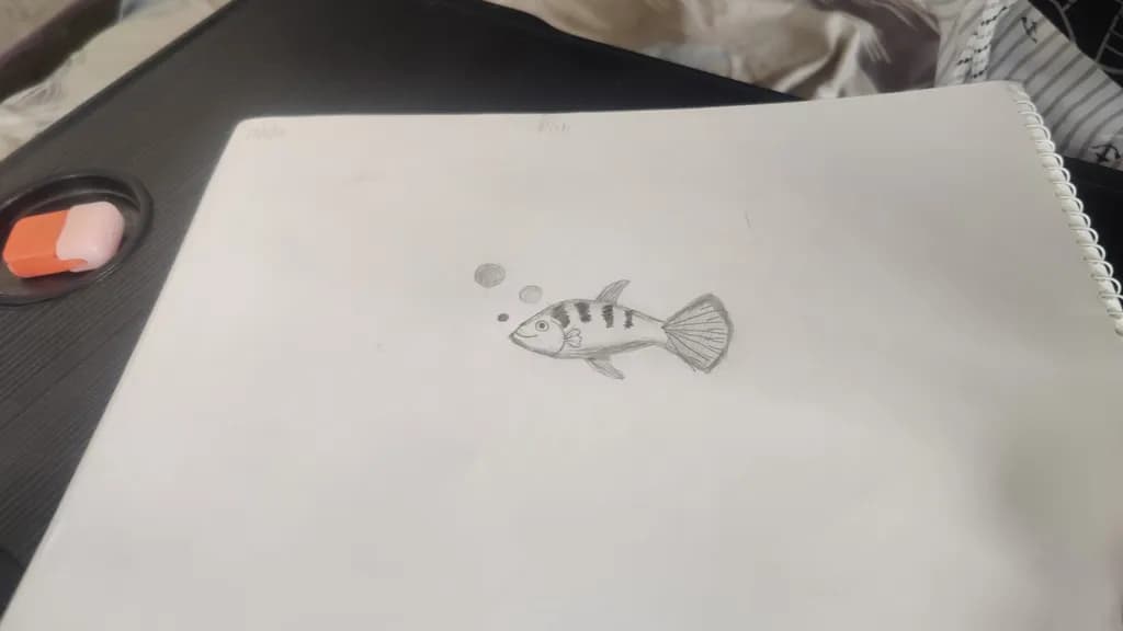 Striped Bubblefish