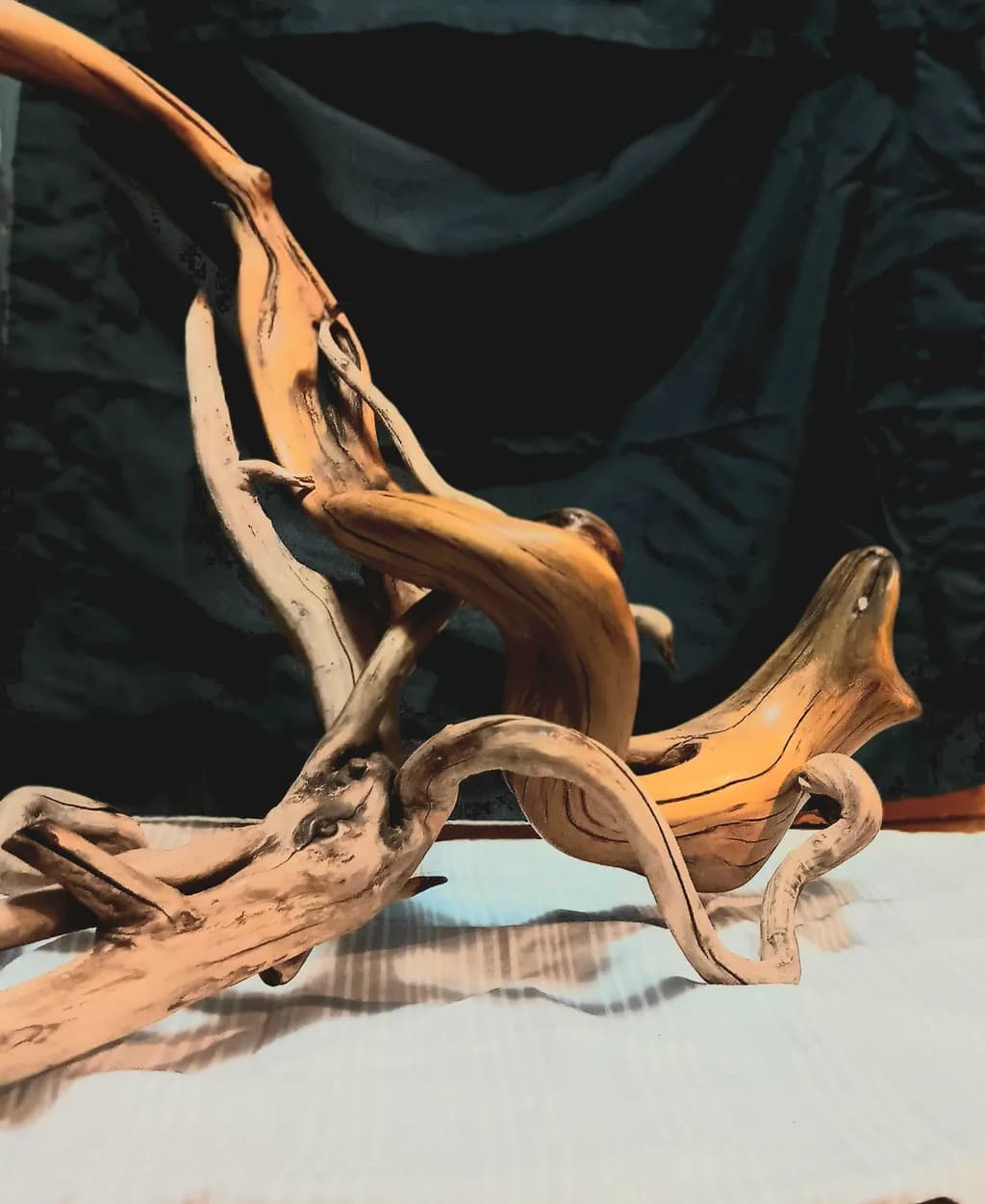 Twisted Driftwood Dance