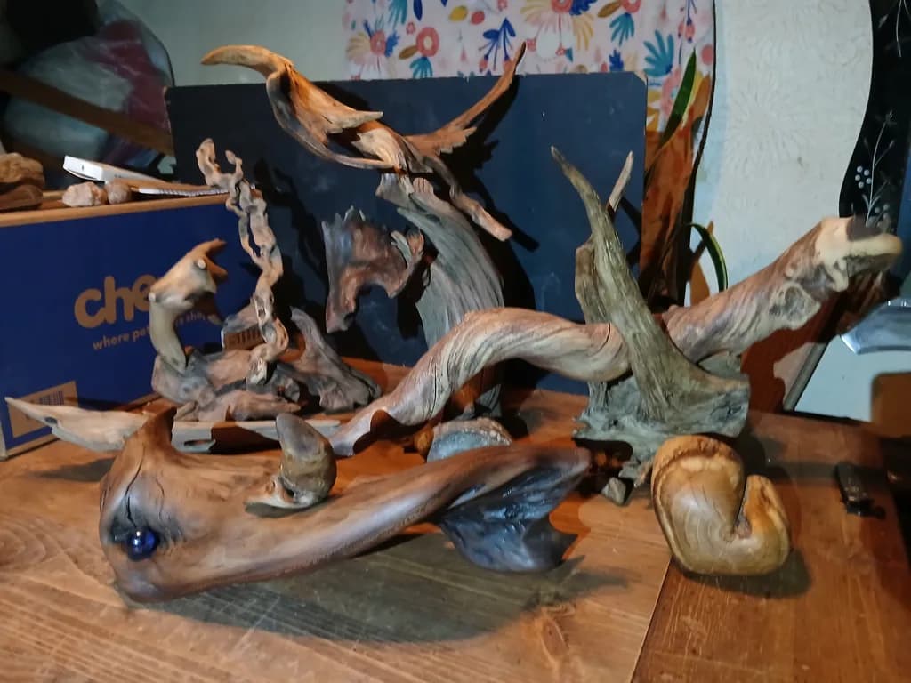Driftwood Dreams
