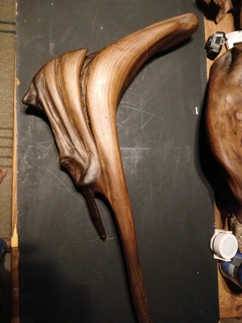 Organic Driftwood Form