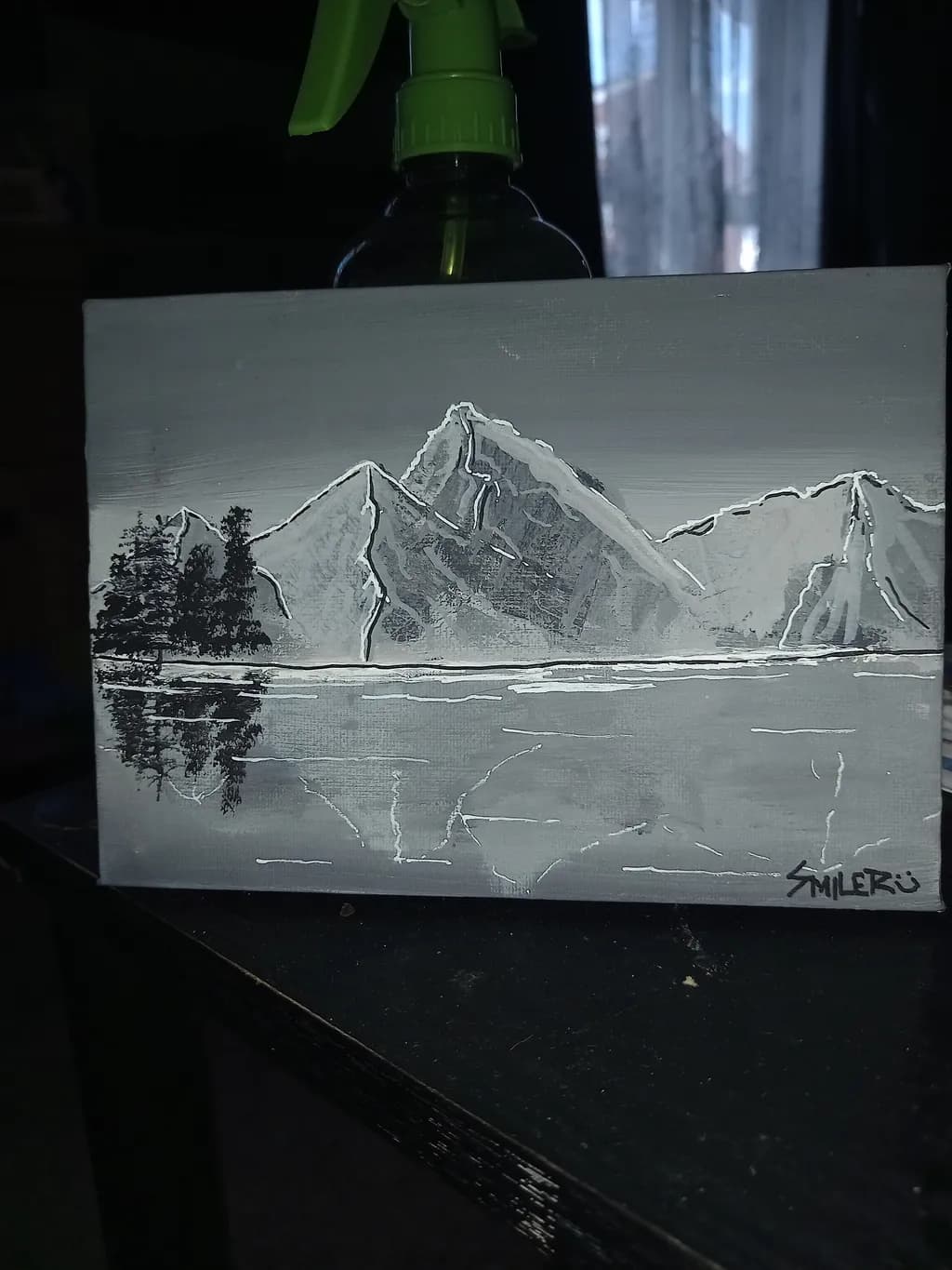 Monochrome Peaks