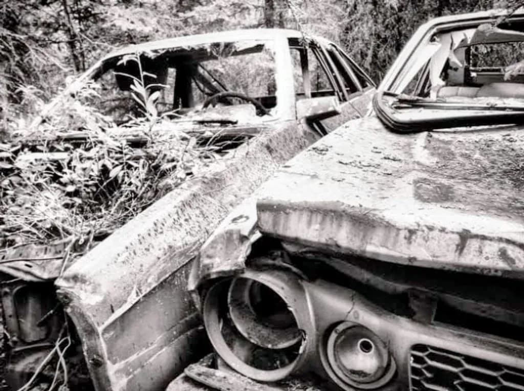 Rust and Renewal