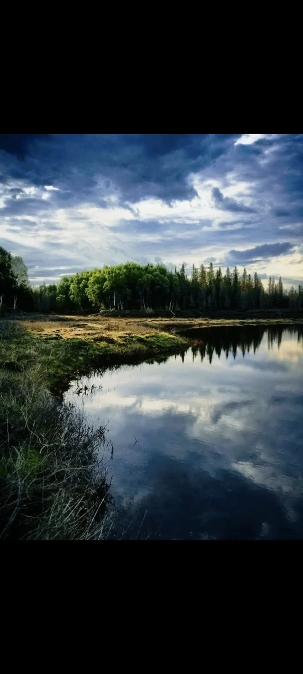 Twilight Reflections