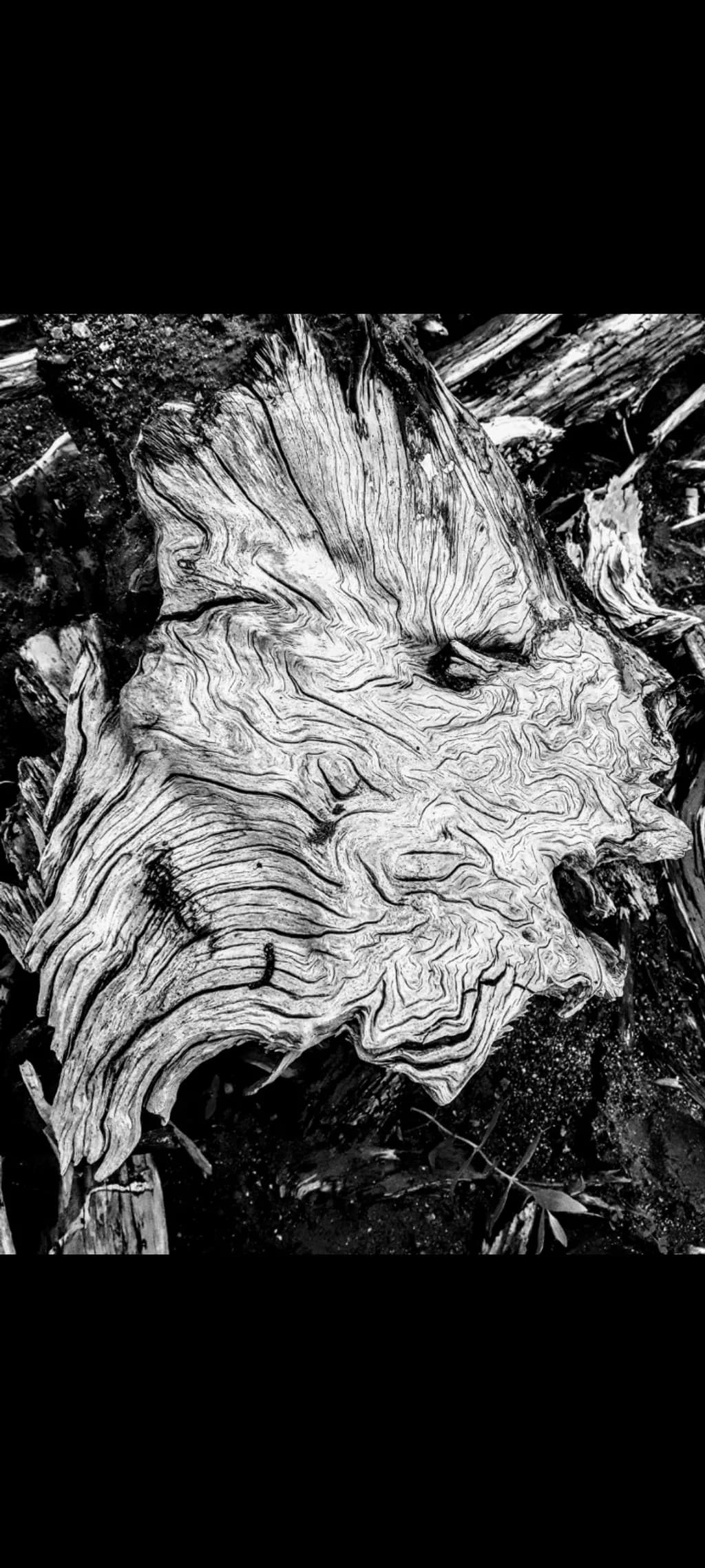Weathered Grain Patterns