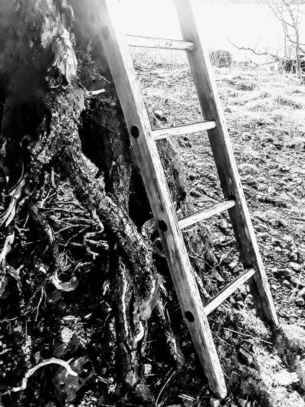 Rooted Ascent
