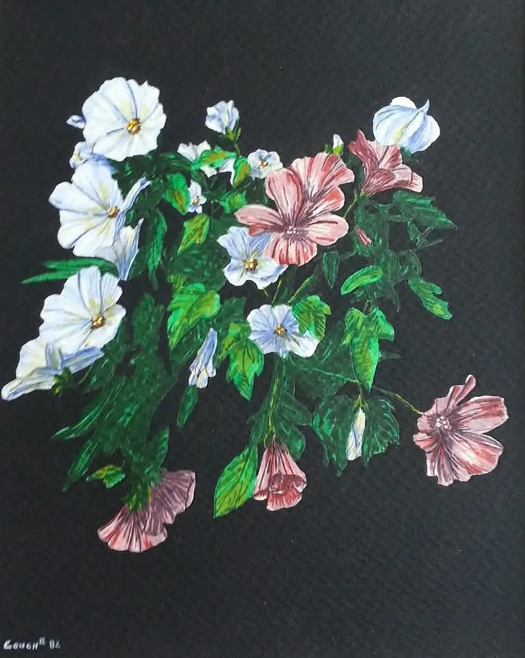 Petals in Contrast